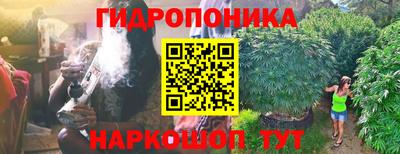 кокс Сланцы