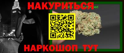 дмт Славгород