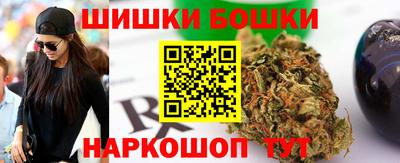 дмт Славгород