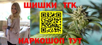 дмт Славгород