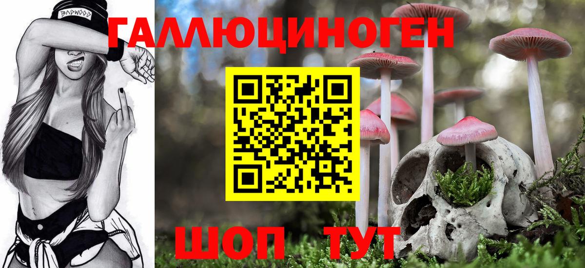 Москва  Псилоцибиновые грибы прущие грибы  Галлюциногенные грибы Cubensis  Вход с VPN 